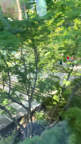Space Needle ➡️ Westlake Center    #monorail #seattle #pov 