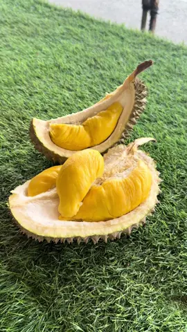 Musang King, New stock, Daily. 😊 #durian #musangking 
