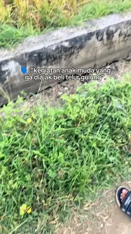 infoo!! #layangacehselatan #layangaceh 