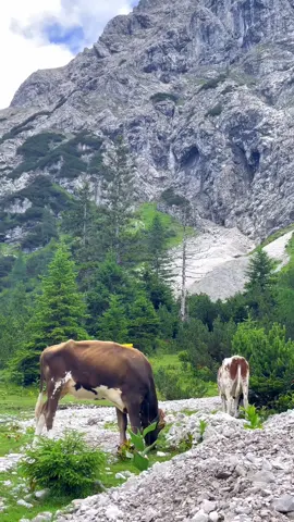 Welcome to Austria 🥰 Semoga suatu saat  kalian bisa kesini juga❤️#foryoupage #fypindo #austria #seebensee #foryou 