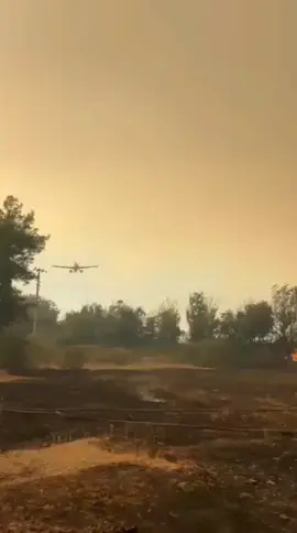 Muğla'da Eş Zamanlı 7 Orman Yangını Başladı... 👨‍🚒🚒🔥🚨 Muğla'nın Milas ve Köyceğiz İlçelerinde eş zamanlı çıkan 7 orman yangınına ekipler gece boyunca müdahale ettiler, 7 yangından 4'ü söndürüldü. Şiddetli Rüzgar ekiplerin müdahalesini olumsuz etkiliyor. Allah Alev savaşçılarının yardımcısı olsun 😢 #Muğlayangın #MuğlaOrmanyangını #yangın #itfaiye #OGM 