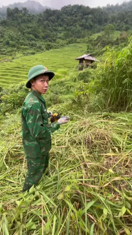 Nhờn nhờn😒@Hảo hôi 🇻🇳 #anhbodoi #khabanh #chubodoi 