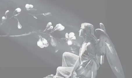 مَابين آدية#كريم_منصور #fyp #tiktok 