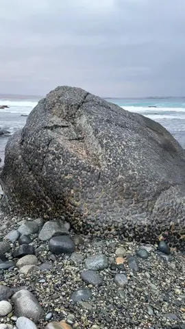 💎 Not art, not man-made—just pure geology. The orbicular granite is one of the rarest rock formations in the world, found on the coast of Chile’s Atacama desert. Have you ever seen anything like this? 🤯 #chiletravel #naturalwonders #granitoorbicular #calderachile 