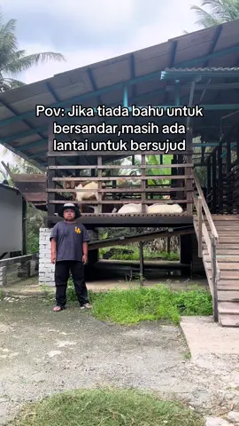 ☺️#26rabiulawal #rabiulawal #rabiulawal2025 #kambing #fypviral 