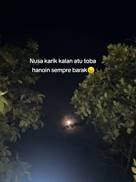 #foryoupage #galaubrutal🥀 