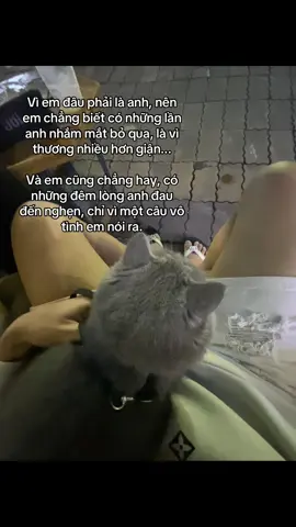 #fyp #viral #xhtiktok 