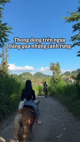 0 điểm - không điểm nào để chê ☺️ #hmoob #Hagiang #travel #lungcu @Làng Thèn Pả 