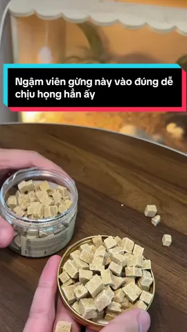 Viên ngậm gừng kì sơn này rất thích hợp cho ai hay bị đau họng hoặc ốm vặt khi thay đổi thời tiết giống e, ngậm vào dễ chịu ng lắm ạ #vtmgr #vtmqn #muataitiktok 