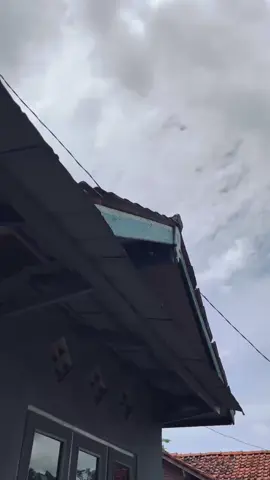 mbok fyp #tigerherex#tigerw9#😜🤙#fyppppppppppppppppppppppp 