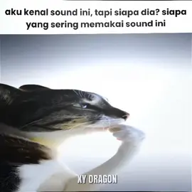 sound apanih kek kenal? #fyp #rame #lagu #song #lyrics 