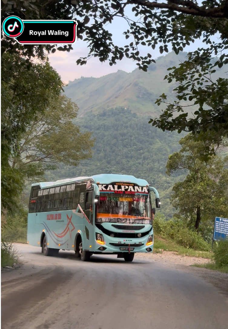 @@Pujan bdr Adhikari @JB VLOG @busofwaling  #royalwaling #fyp 
