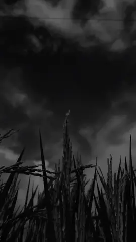 #foryou #fyp #fyppaknain 