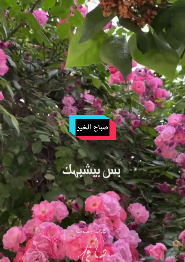 #صباح_الخير كيفك اليوم؟؟ #اكسبلورexplore #طيف_عابر #your_coffee #تصميم 