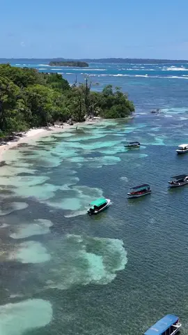 Not a city… this is San Blas 🌴✨ Welcome to San Blas (Guna Yala) — Panama’s hidden paradise 🏝️ 365 islands of pure beauty… would you add this to your bucket list? 👇  #SanB#SanBlasa#GunaYalaa#PanamaParadisev#TravelTokdenGems 