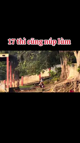 #gao39682 #giaitri #thichminhtue #xuhuong #phatphap 