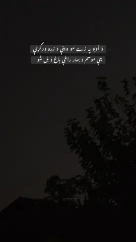 Meaning : Instead of water, we gave the blood of our hearts.. And when spring come , the Garden became someone else … #viral #foru #deeplines #foryoupage #100millionviews 