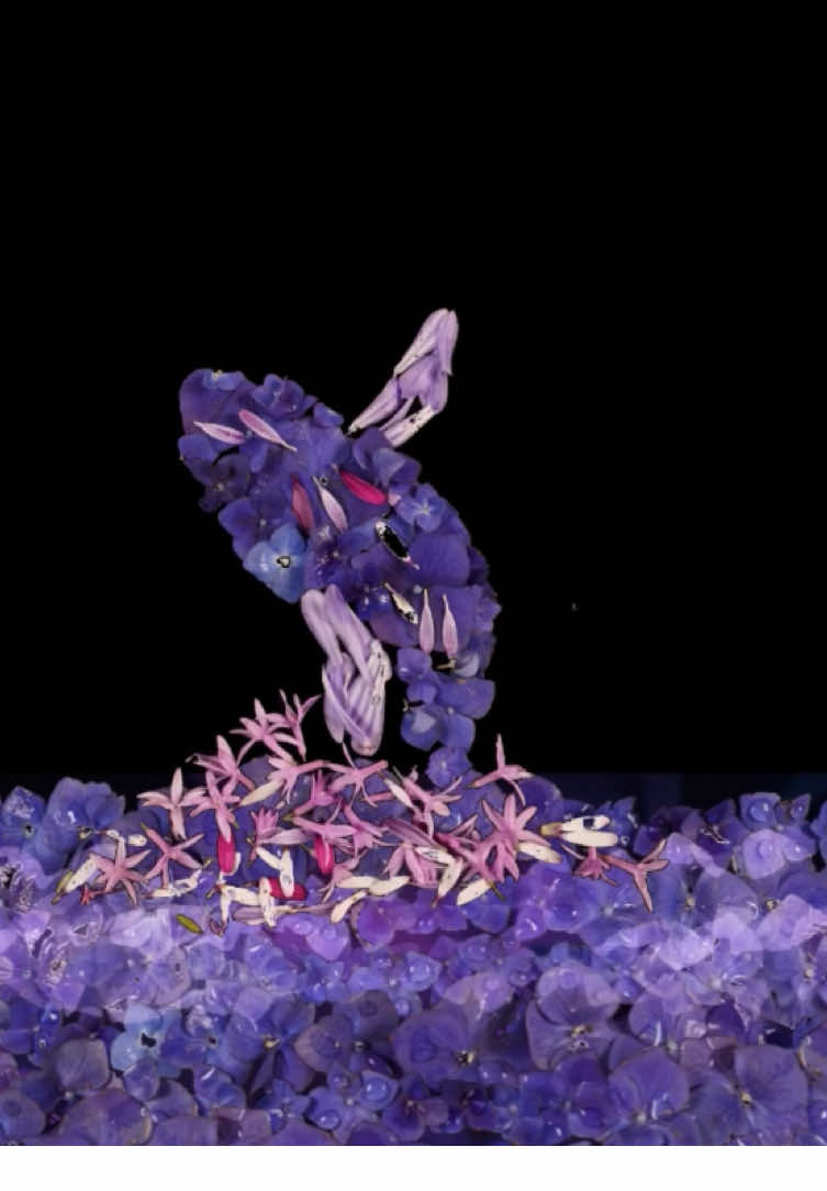 Blue Whale Bloom 🐋🪻🌊💜 #bloomscrolling #whalewatching #whales #stopmotionanimation #flowerart 