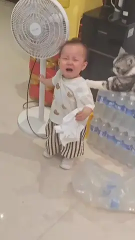 cat vs baby funny shorts🤣🤣🤣😜😜😜🤪🤪🤪…. #cat #baby #funny #catsoftiktok #unitedkingdom 