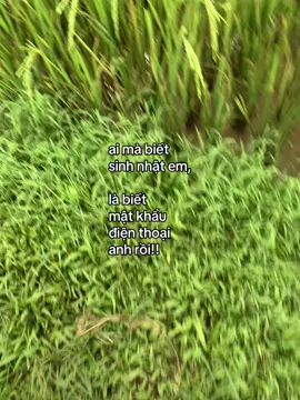 #hoanghaihaysuy #luxuryxuhuong 