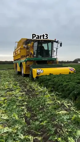 #reddit #redditstories #trdditreadings