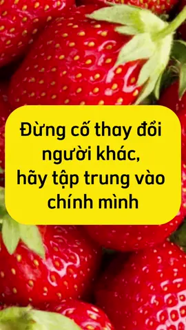 Đừng cố gắng thay đổi người khác, hãy tập trung vào mình #độnglựccuộcsống #giátricuocsong #phattrienbanthan #xâykenhtiktok 