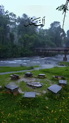 #CapCut #خالد_الجليل_تلاوه_تهز_القلب #CapCut #الصبر_جميل #قران_كريم 