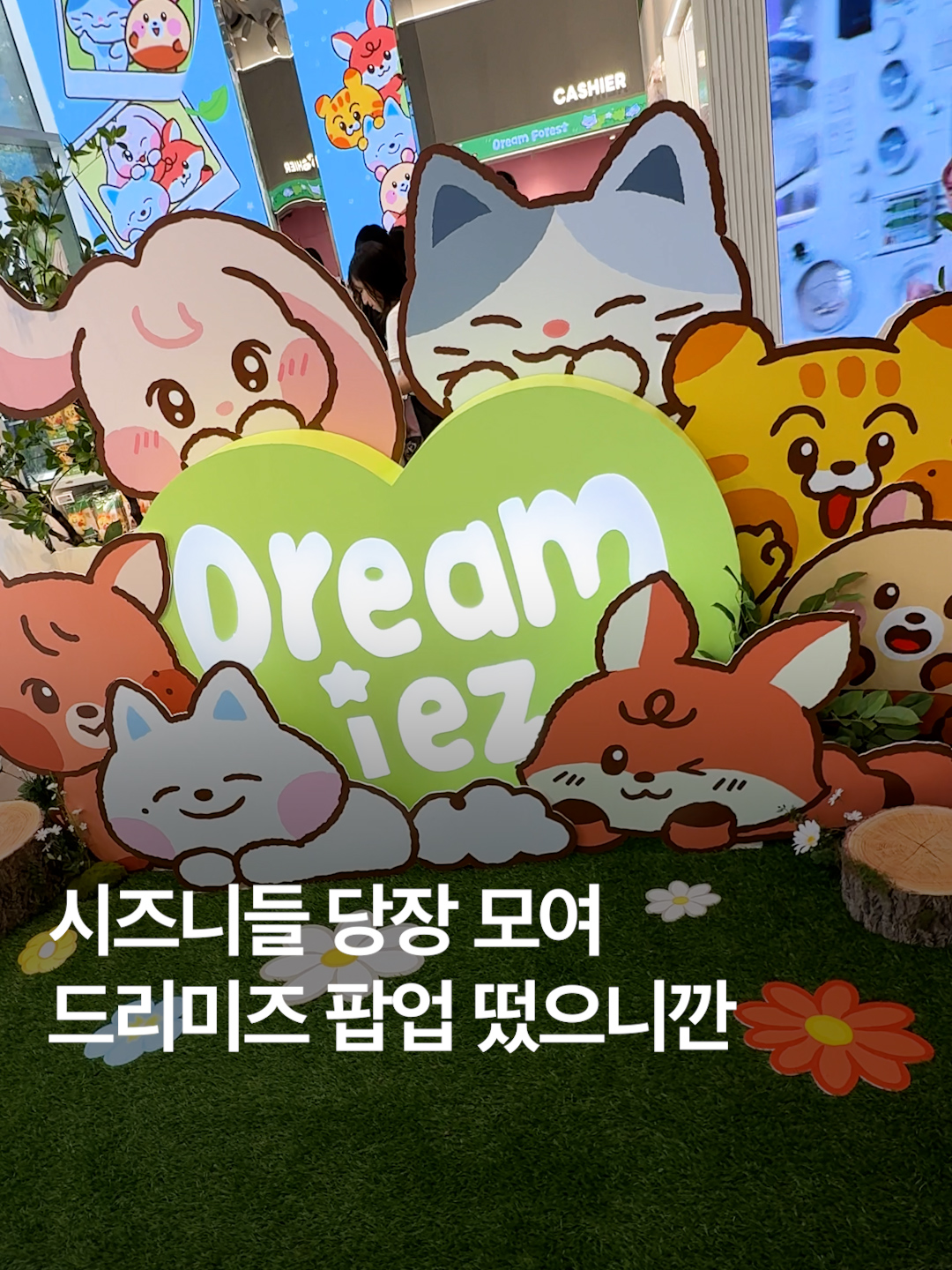 #시즈니 들 당장 모여 #드리미즈 팝업 떴으니깐