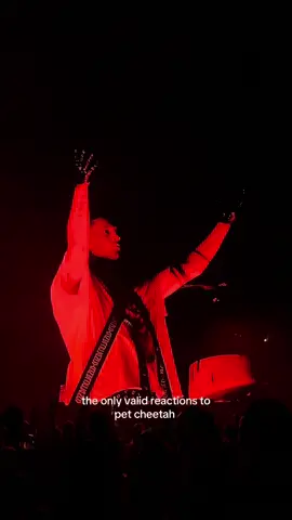 thank you hannah glass we all say in unison @Hannah  @twenty one pilots #breachtour #twentyonepilots #breachcincy #concerts #fyp 