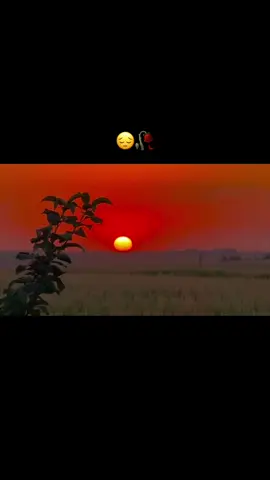 حبايب#تفاعلكم_حتى_أستمر #تصويري_احترافي_الاجواء👌🏻🕊😴 #عباراتكم_الفخمه📿📌 #مالي_خلق_احط_هاشتاقات #😔😭💔❤️‍🩹🥀