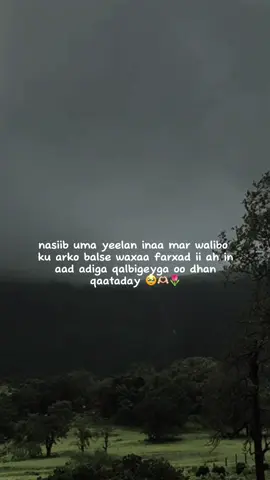 jaceyl🥹🌷🫶🏻#fypシ゚viral🖤tiktok☆♡🦋myvideo🤗foryou #viewslaaan🥺💔😭 #foryoupage #fouryou #fypシ゚ 