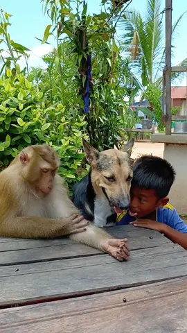 Monkey Gently Touches Human Friend's Face - Their Bond Will MELT Your Heart!