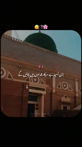 In Shaa Allah🥺😭🫀||Acc for sale #islamicstatus #viralmyvideo #100k #goviral #peerajmalrazaqadri @TikTok @TiktokPakistanOfficial 