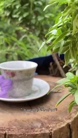 اللهم طيب ,ِخواطـرنا بما يسـرنا ..!🤍🌿#خواطر #عبارات #كلمات #درر #صباح_الخير 
