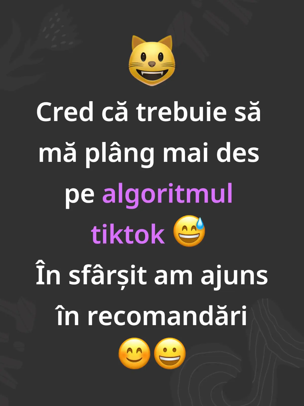 #basarabeancainbelgia #beverenwaas #recomandari #moldoveniinbelgia #diaspora 