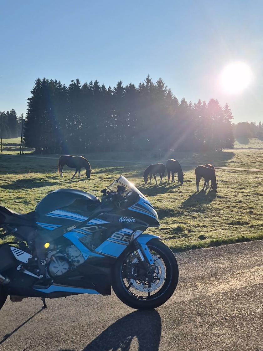 ✨️ Swiss ✨️🇨🇭 #swiss #switzerland #horsesoftiktok #bikersoftiktok 