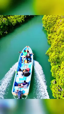 Sacadadiin Island #somali #somalitiktok #somalilandtiktok💚🤍❤ #somaligirls #somalia 