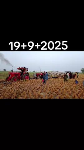 💕💕💞💞💕💕