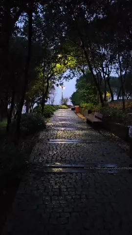 فيديو بدون صوت #🤍✨️  لتصميم القران #🤍✨️  مصممين قران #🤍✨️  فيديو بدون حقوق #🤍✨️ 