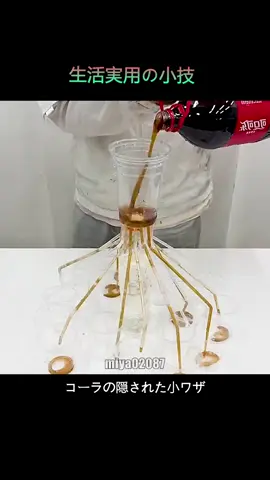 #生活の妙技 #生活小妙招 #おすすめ 