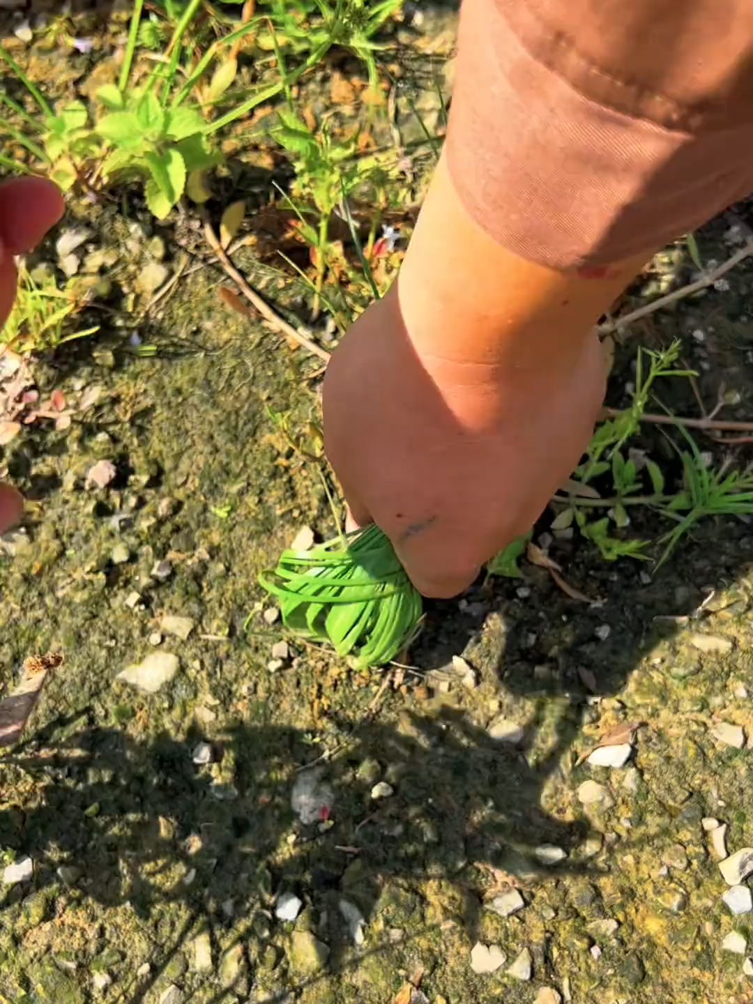 #NatureLovers #farmlands #follower #viralvideotiktok#greenpool #foryouu