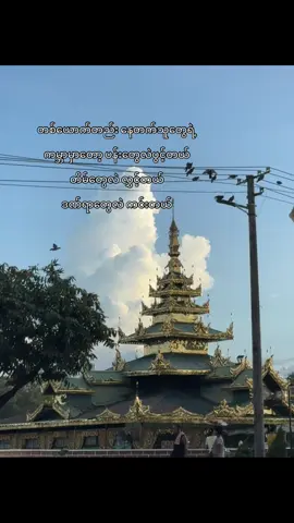 အရေးမပေးဘူးဆိုတာမရှိဘူးအရေးမပေးခံရတာပဲရှိတာ#fypシ゚ #pyonecho #trend 