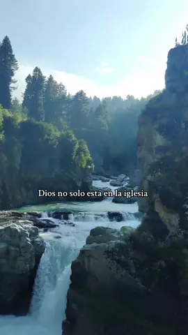 Dios habita en la vida, en el amor y en todo lo que existe. ✨ #Dios #universo #naturaleza #creer #somosuno 