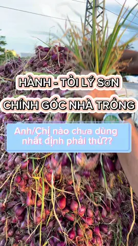 🧄𝗛𝗔̀𝗡𝗛 - 𝗧𝗢̉𝗜 𝗟Ý 𝗦𝗢̛𝗡 𝗡𝗛𝗔̀ 𝗧𝗥𝗢̂̀𝗡𝗚 - Không chỉ là gia vị 