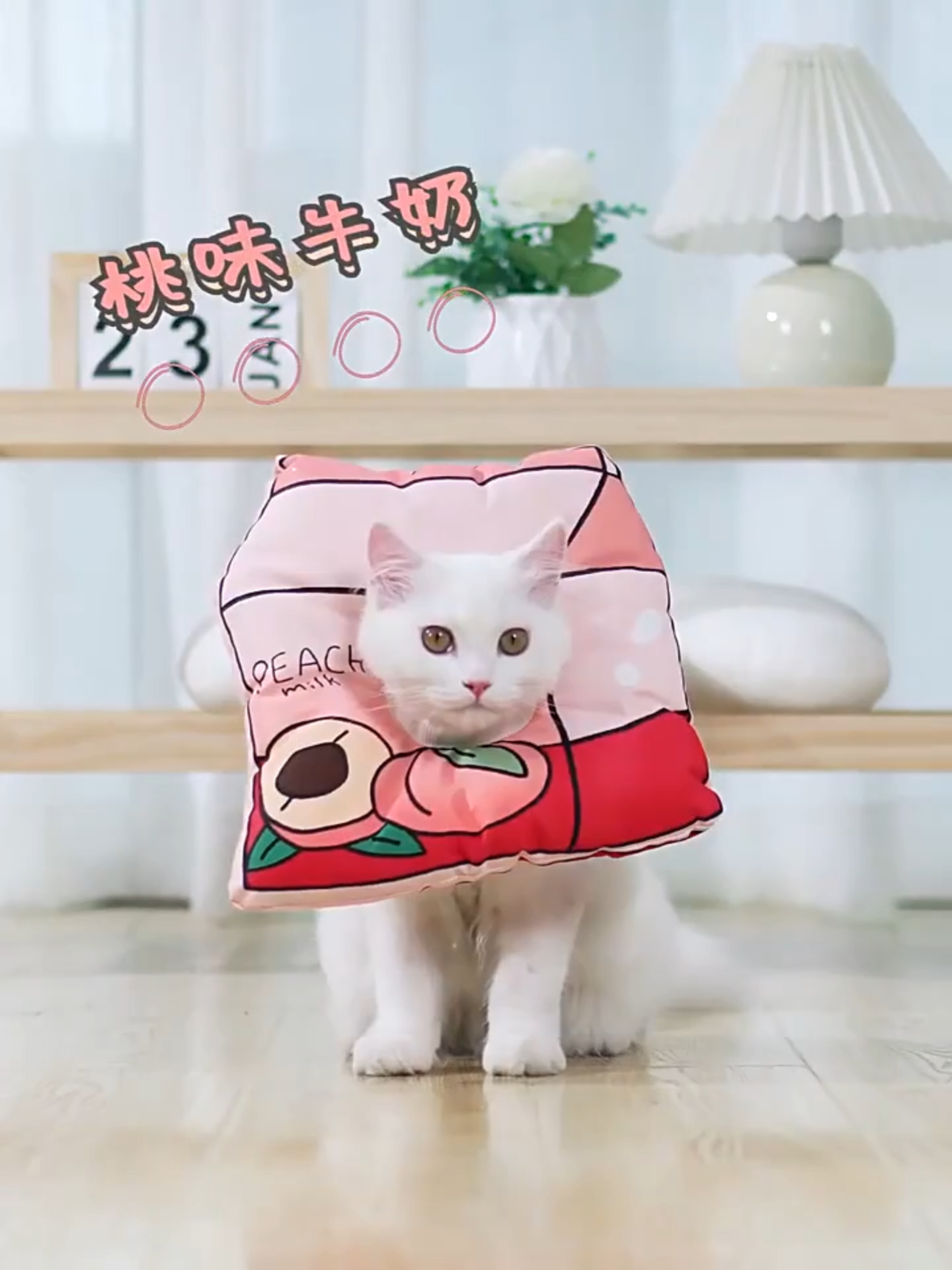 Collar Pet Neck Cone. adiashub.com @adiashub