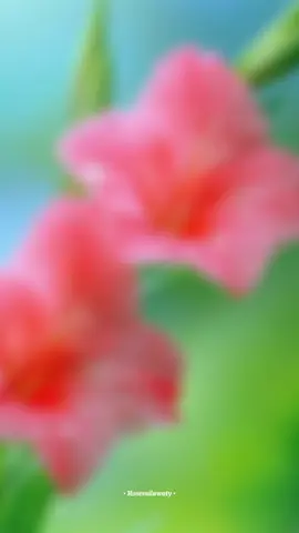 #CapCut #fyp #foryou #katakata 