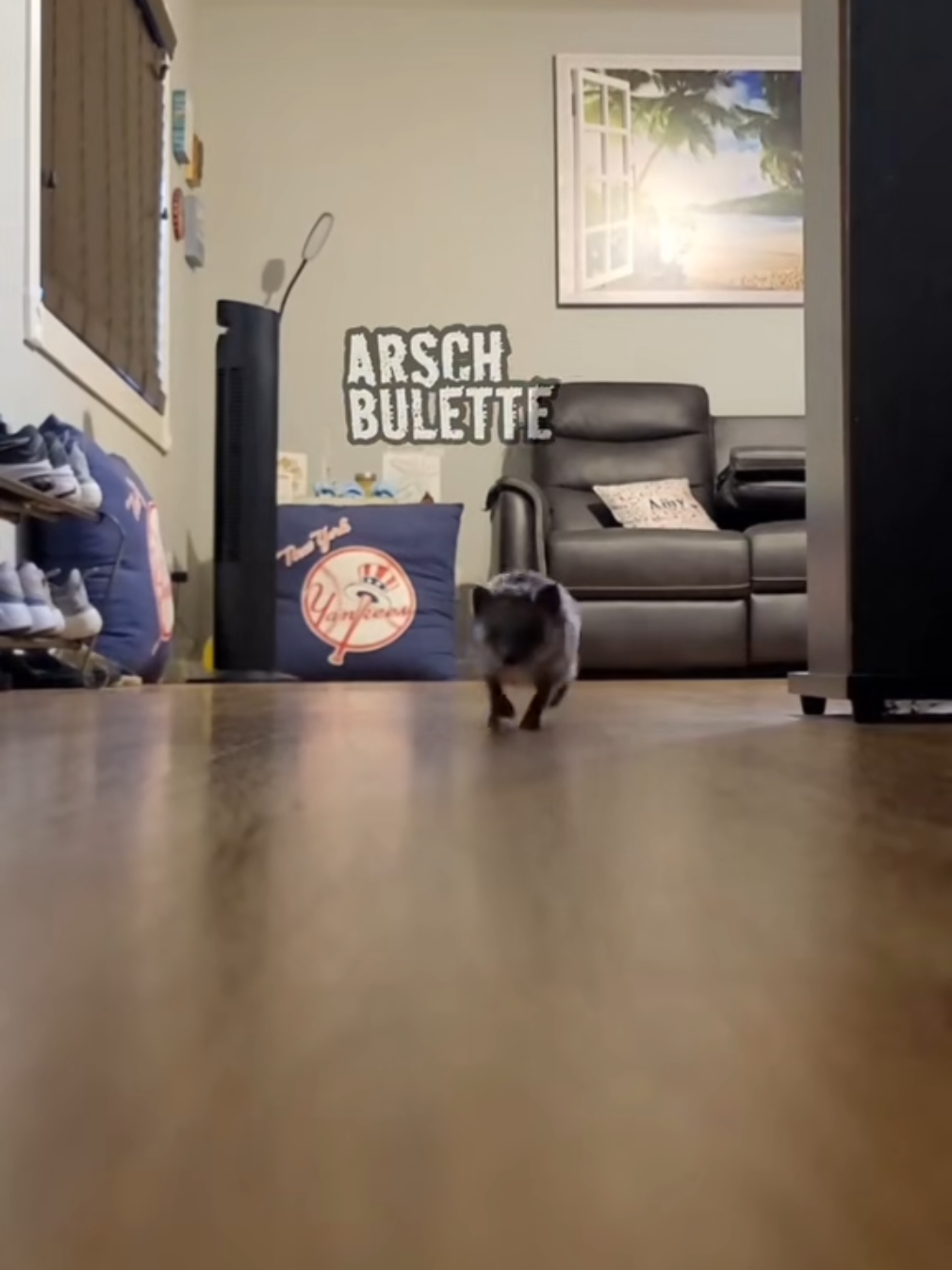 Eine brandneue Folge 