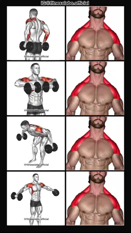 ✅ Exercises for Wider Shoulders using Dumbbells  ① Rear Raise  ② Upright Row  ③ Reverse Fly ④ Lateral Raise  3 sets 12-15 reps 