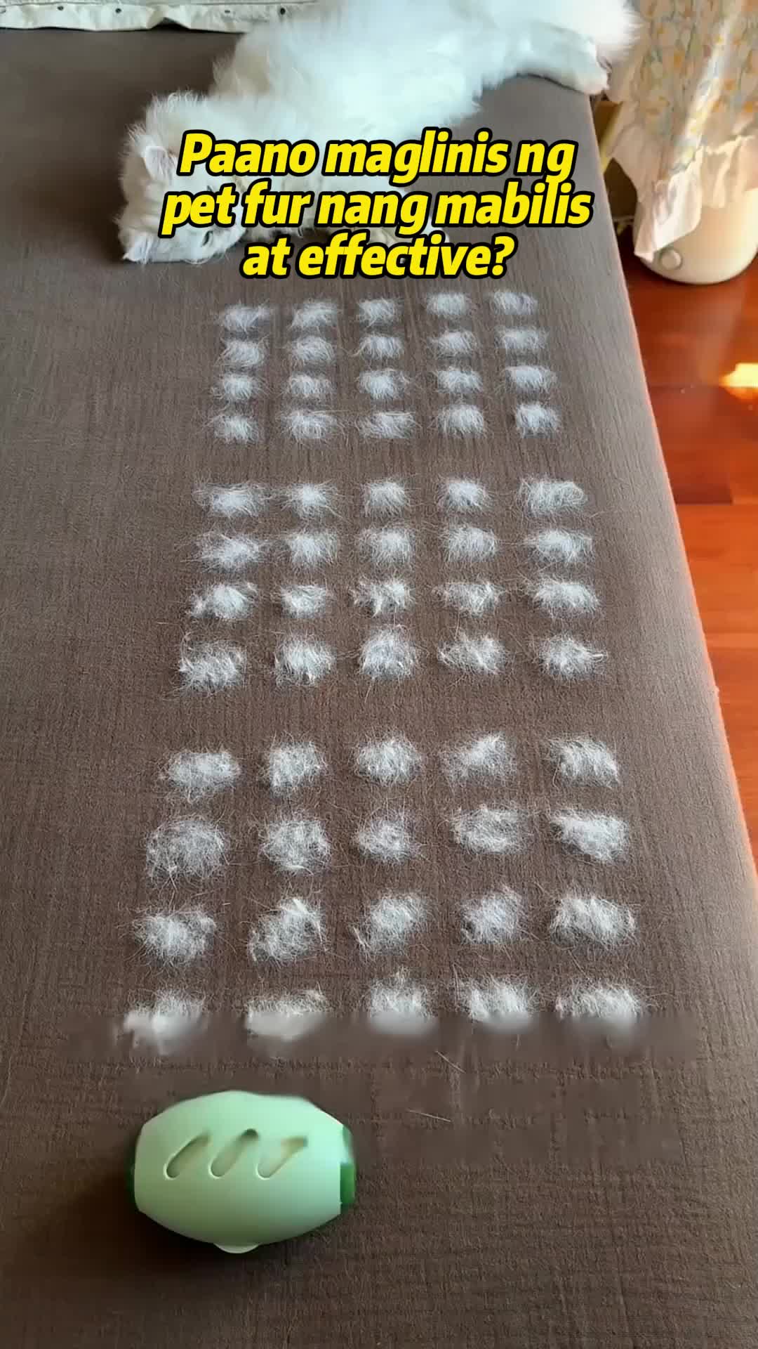 😾 Lagang lumilipad ang balahibo ng alaga?
Subukan ang 【Electrostatic Pet Hair Removal Glove】,
isang haplos lang, dikit agad ang balahibo,
mas madali ang paglilinis! ✨ 