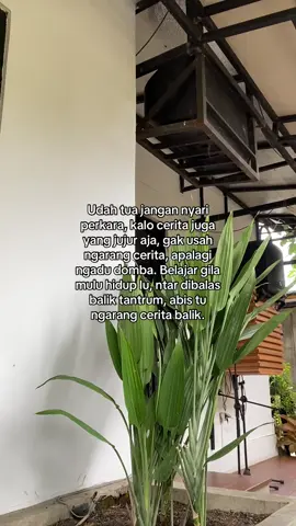 #fyp #viral #viralvideo #katakata #fypシ 